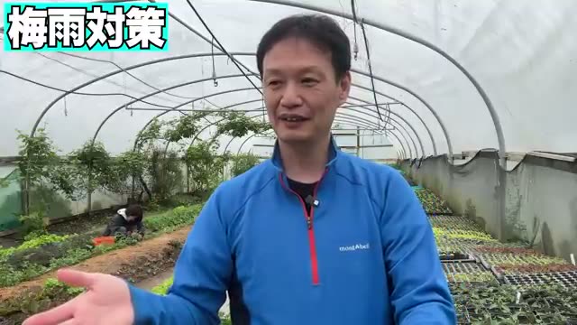 2. 草マルチの利点と「湿気・ナメクジ」のバランス