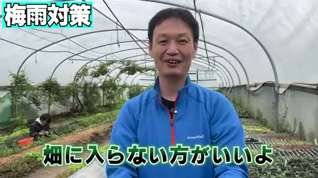 3. 畝を崩さない工夫と「雨の日の過ごし方」