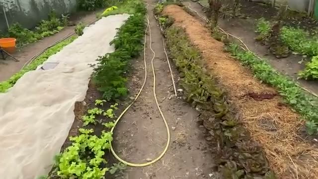 4. 根本の力を磨く:自然順応と自家採種