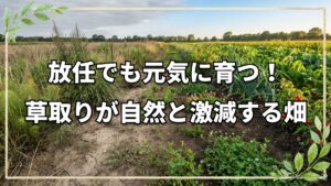 ほったらかしで育つ野菜と自然農法で雑草が減っていく仕組み
