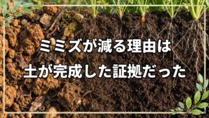 自然栽培におけるミミズの4つの役割と土が綺麗になると数が減る理由