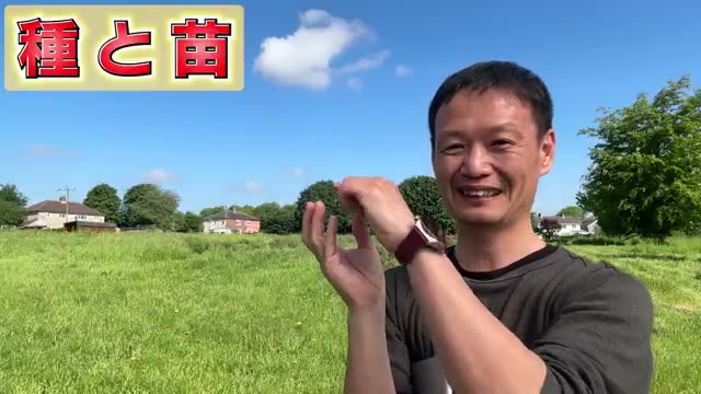 4. 適切な水やり：根の力を信じる