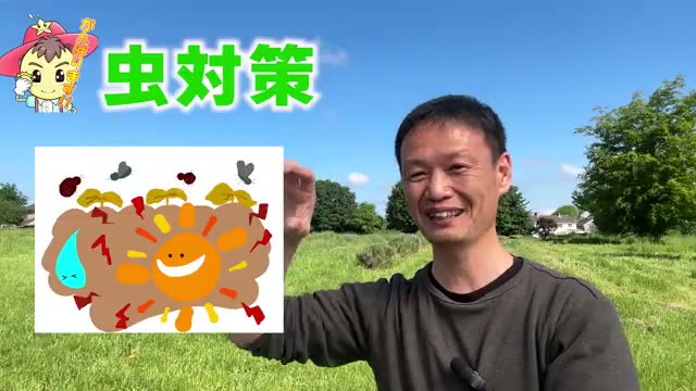 5. 虫・病気対策：火と水のバランスを整える