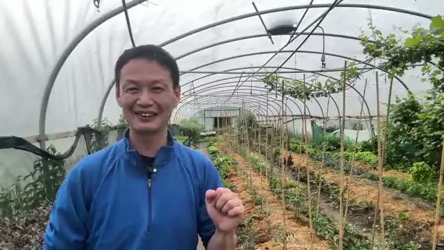 1. 7,000本のリンゴ園を完全転換したロッドさんの事例