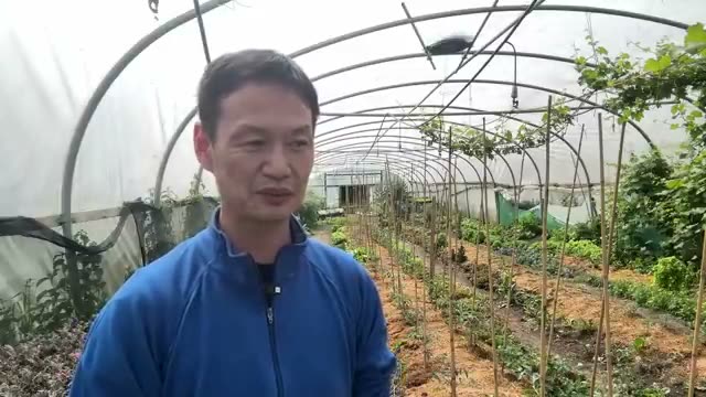 3. 実践者が学ぶべき「観察」と「我慢」の哲学