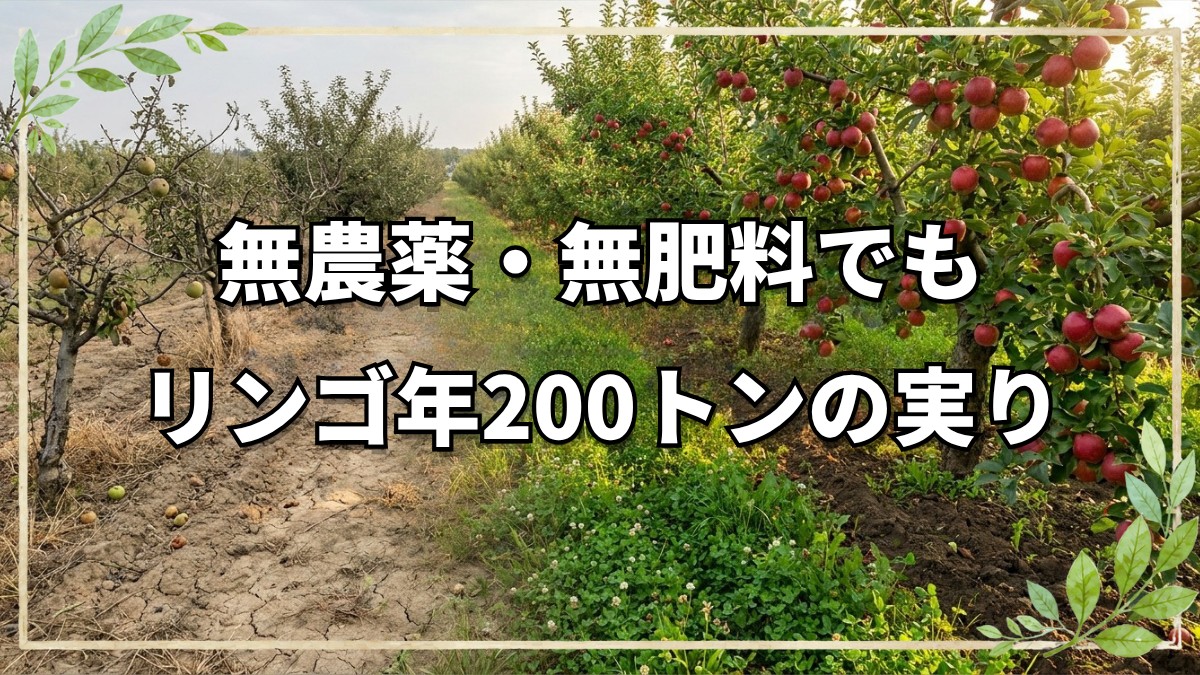 大規模果樹で年200トンの自然農法
