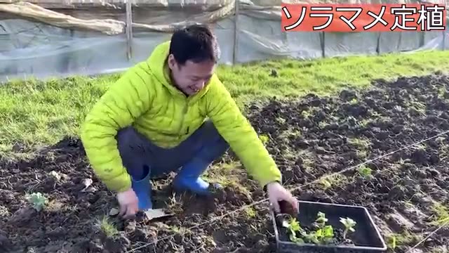 粘土質・カチカチの土でも大丈夫?「自然栽培」の根の底力