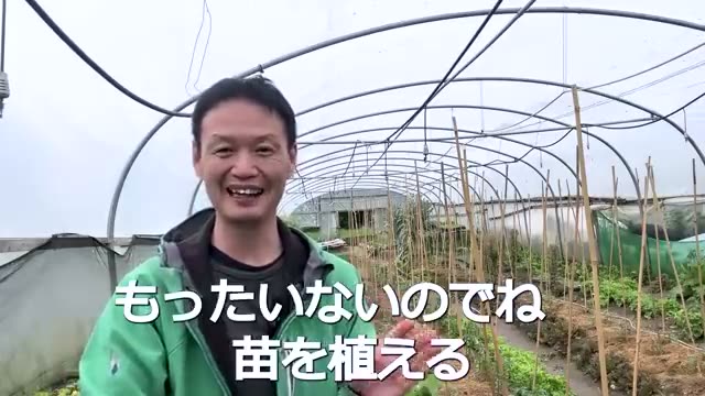根伸びを劇的に良くする6つの実践ポイント