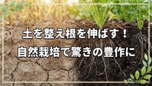 自然栽培で豊作！根伸びを促す土の整え方