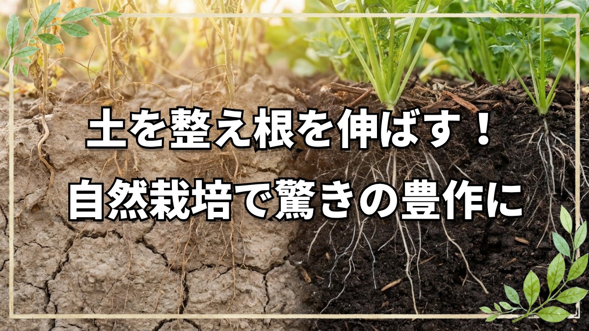 自然栽培で豊作！根伸びを促す土の整え方