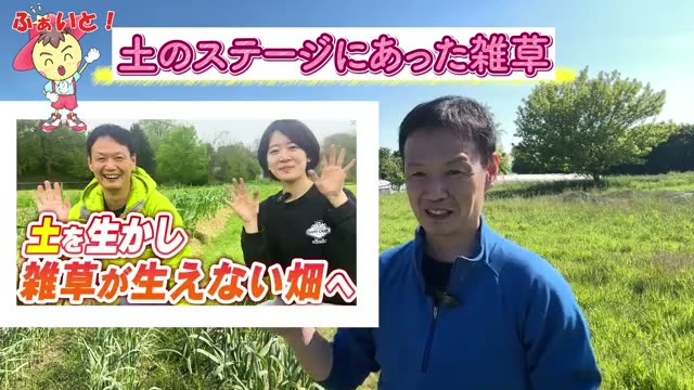 雑草を見れば土の健康度がわかる「4つのステージ」