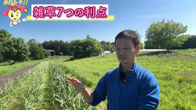 畑を豊かにする雑草の「7つの利点」