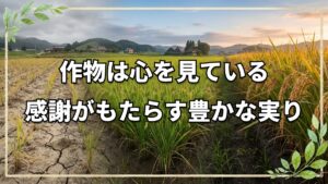 自然農法は「心」で育つ