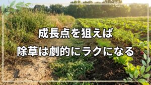 成長点を狙う!先手必勝の楽々除草術