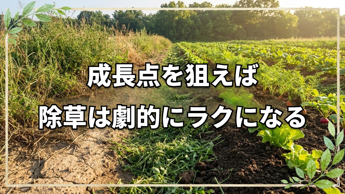 成長点を狙う！先手必勝の楽々除草術