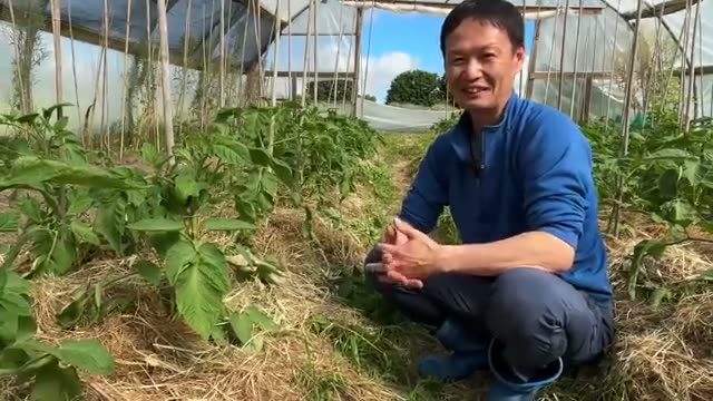 4. 実践者へのアドバイス:まずは数本からの実験を