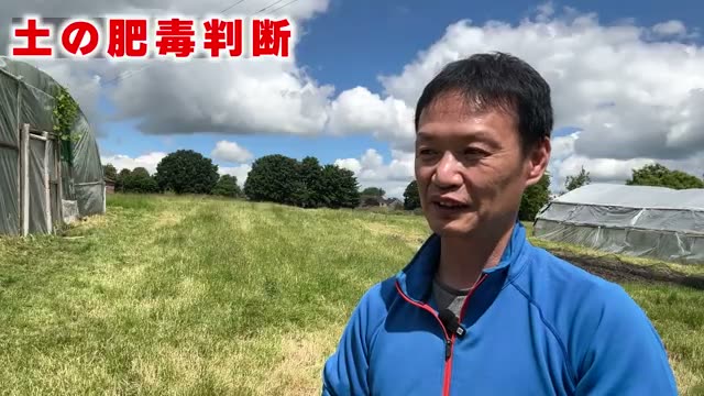 肥毒が抜けた土の状態とは