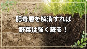 土の肥毒を解消する方法