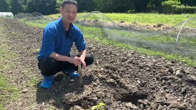 5. 床堆肥と草マルチで土を育む