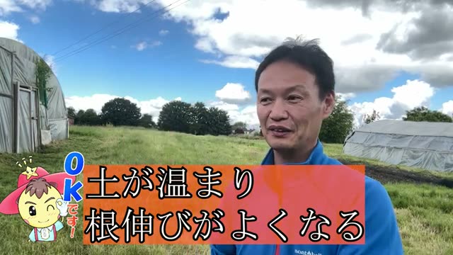 3. 水と空気の流れを整える「溝掘り」