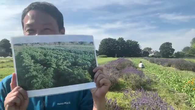 科学的データが示す真実:ケール9年連作の土壌結果