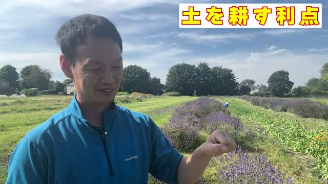 自然栽培で「耕す」7つの大きな利点