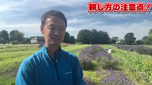 耕す際の注意点:土の状態を見極める「感性」