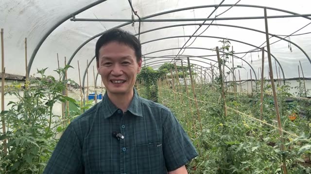 理由3:種まきや定植などの作業スピードが上がる
