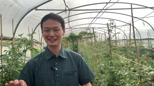 理由4:畑に手袋の繊維を落とさない