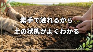 自然栽培で素手作業を取り入れる利点
