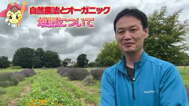 種の選び方と自家採取への姿勢