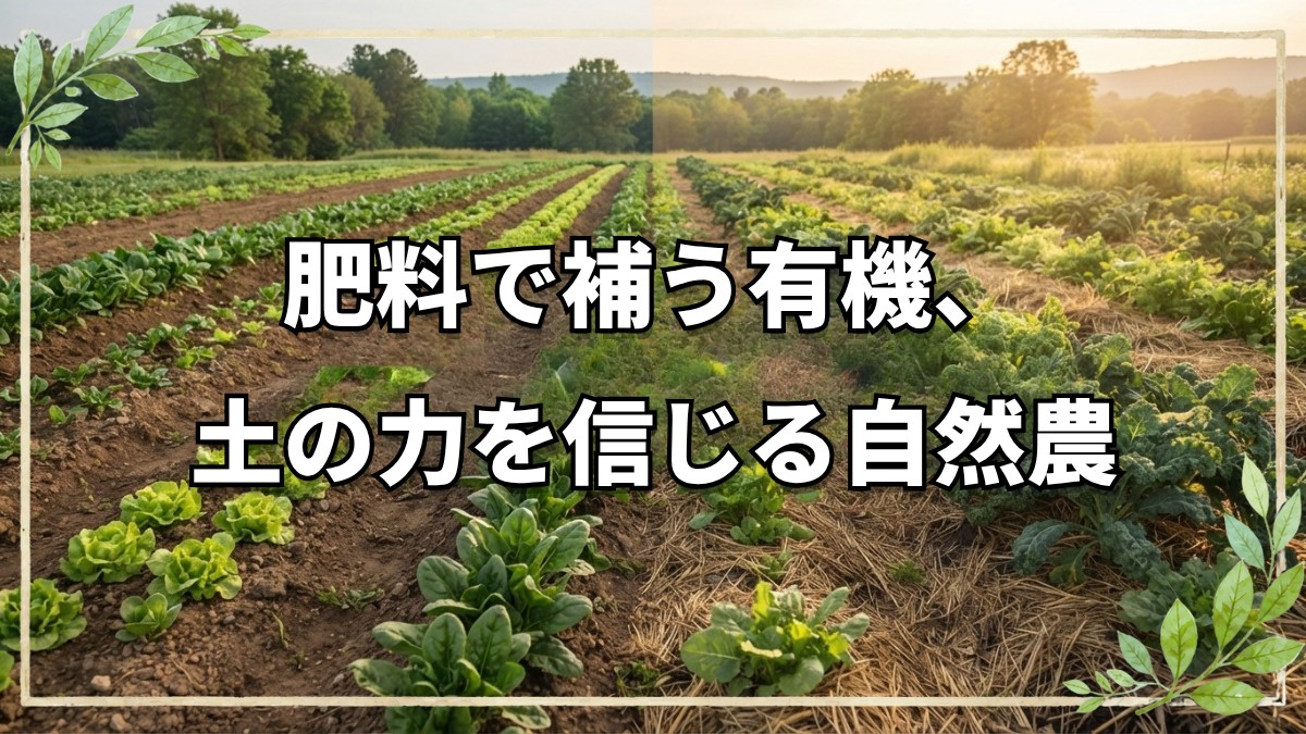 自然農法と有機栽培の根本的な違い
