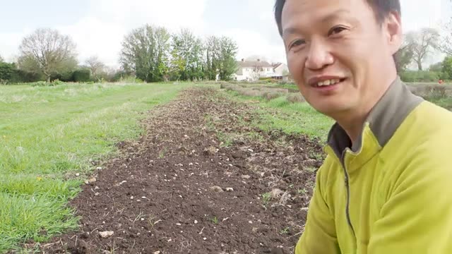 ズッキーニは露地連作12年目でも障害が出ない