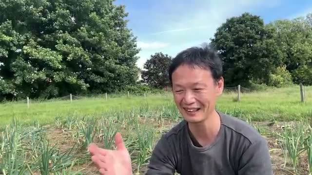 畑に適した水の種類