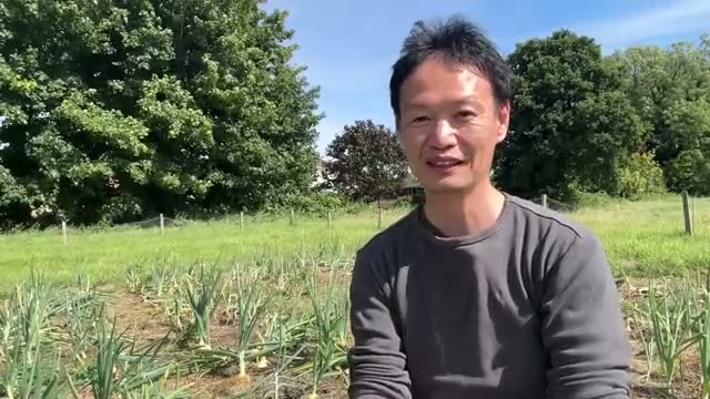 水やりを減らすための5つの工夫