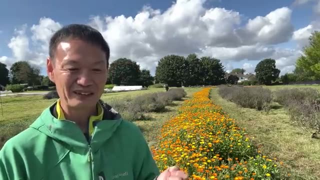 事例3:イギリスを襲った大干ばつとヒートウェーブ