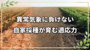 異常気象に勝つ自然栽培と自家採種