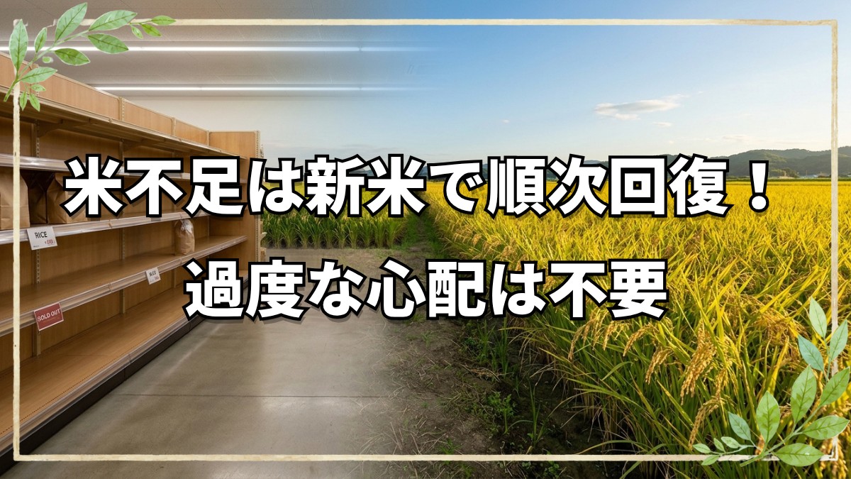 スーパーから消えたお米の行方と米騒動の背景【自然栽培農家の視点】