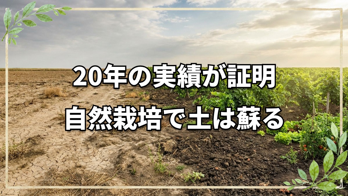 イギリスでの自然栽培20年に区切り。今橋さんが日本帰国を決めた理由と高知での新たな挑戦