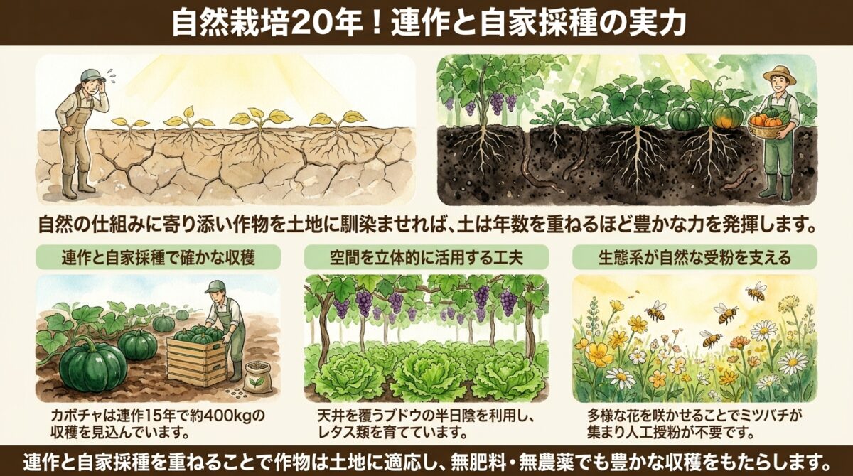 【自然栽培】秋のファームの様子と土の力!連作と自家採種がもたらす豊かな実り