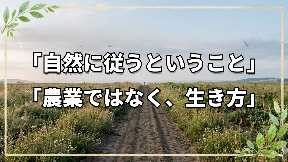 今橋流自然農法：皆と何が違う？その核心は「技術」ではなく「信頼」にあり