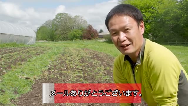 自家採種26年のカボチャに見る種まきと育苗の実践