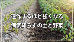 自然栽培で病気知らずの連作術