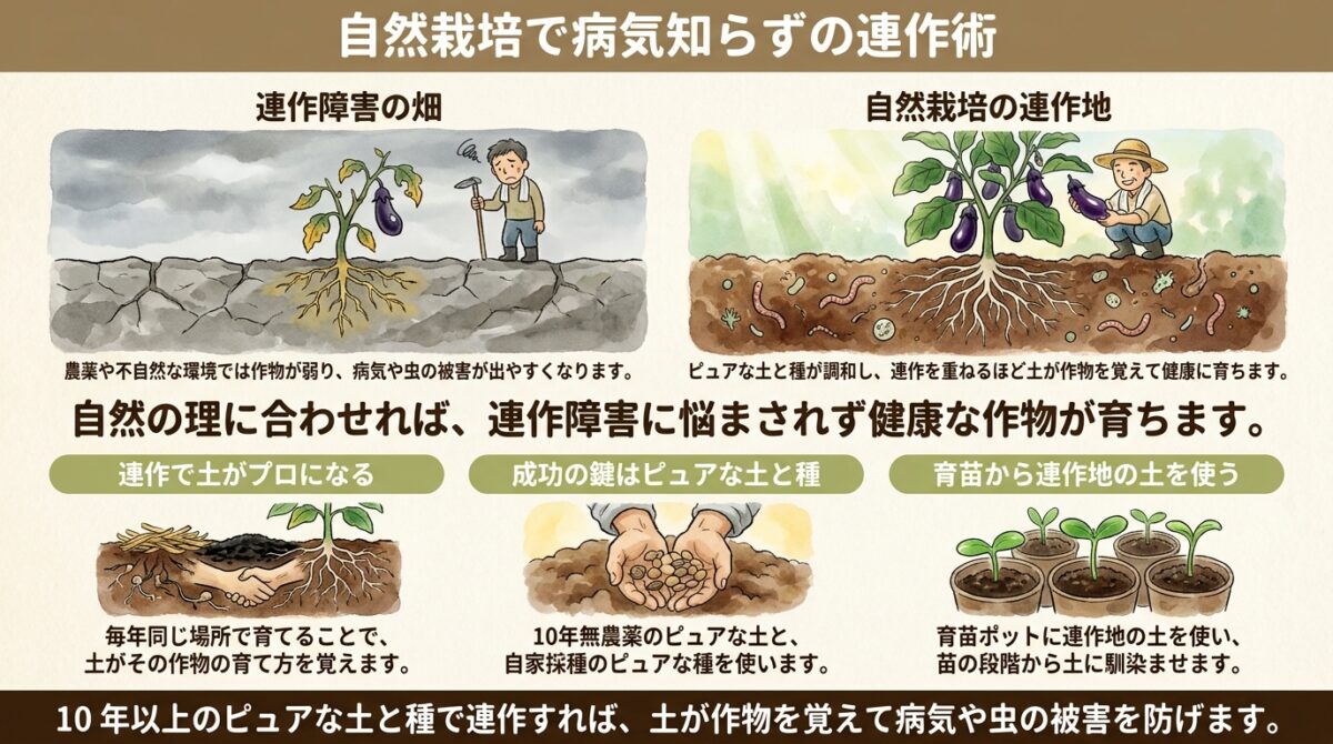 自然栽培で病気知らずの連作術