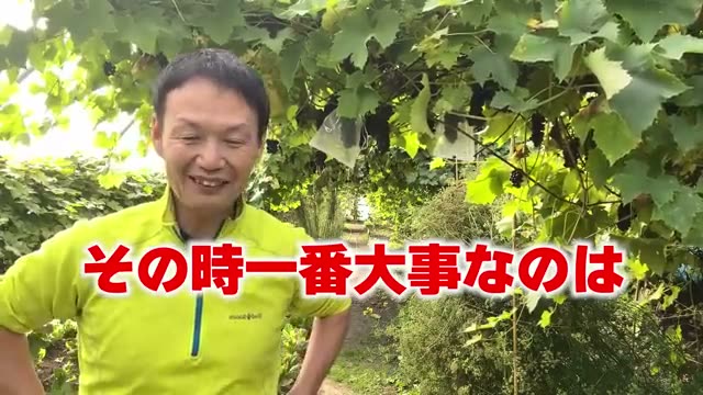 1. 野菜が育たないとき、土のせいにしていませんか？