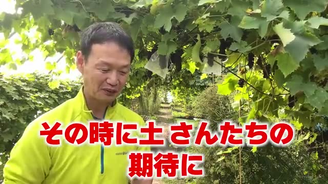 2. 土を弱らせてしまう「間違った耕し方」