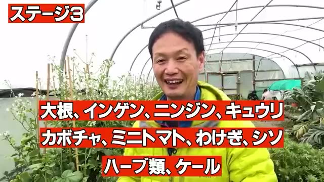 3. 土の状態を教えてくれる「雑草の4つのステージ」