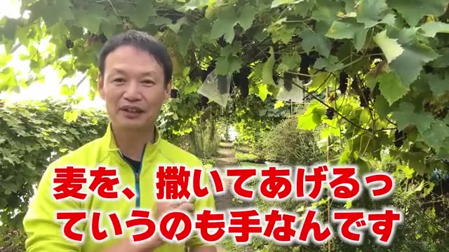4. 停滞した土を元気にする改善アプローチ