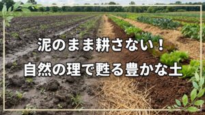 野菜が育たない原因と土を再生する耕起法