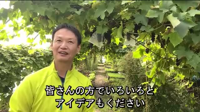 日本帰国に向けた準備と高知での就農条件